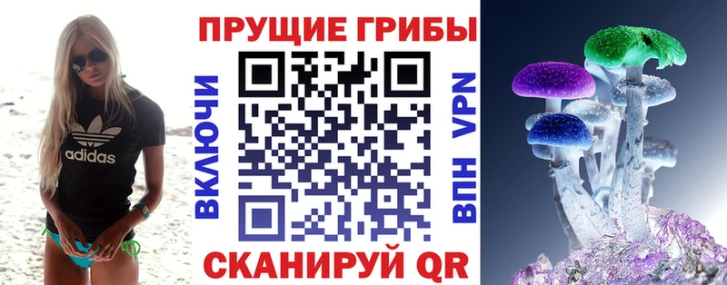 Галлюциногенные грибы GOLDEN TEACHER  Пошехонье 