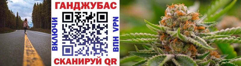 ОМГ ОМГ ТОР Пошехонье Бошки марихуана сатива купить наркоту